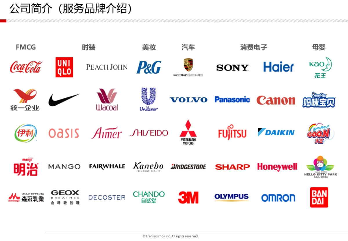 2016立邦官方商城代运营方案_第10页