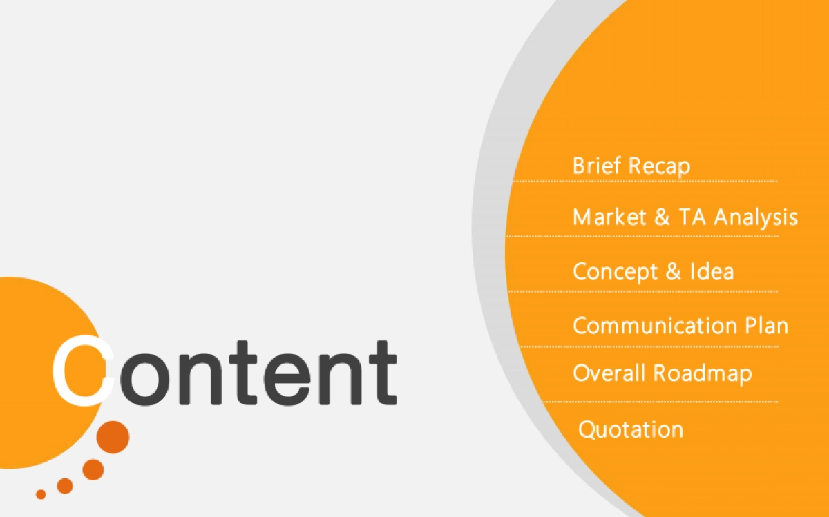 百安居双微运营沟通方案_第2页