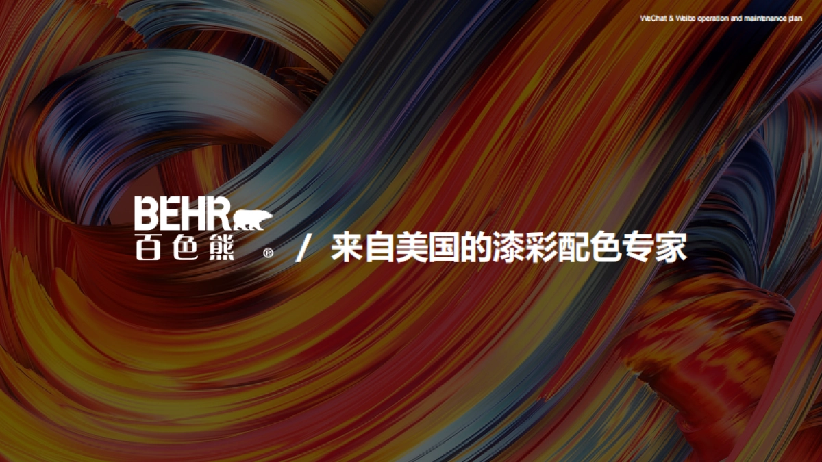 百色熊儿童漆微信微博运营方案_第3页