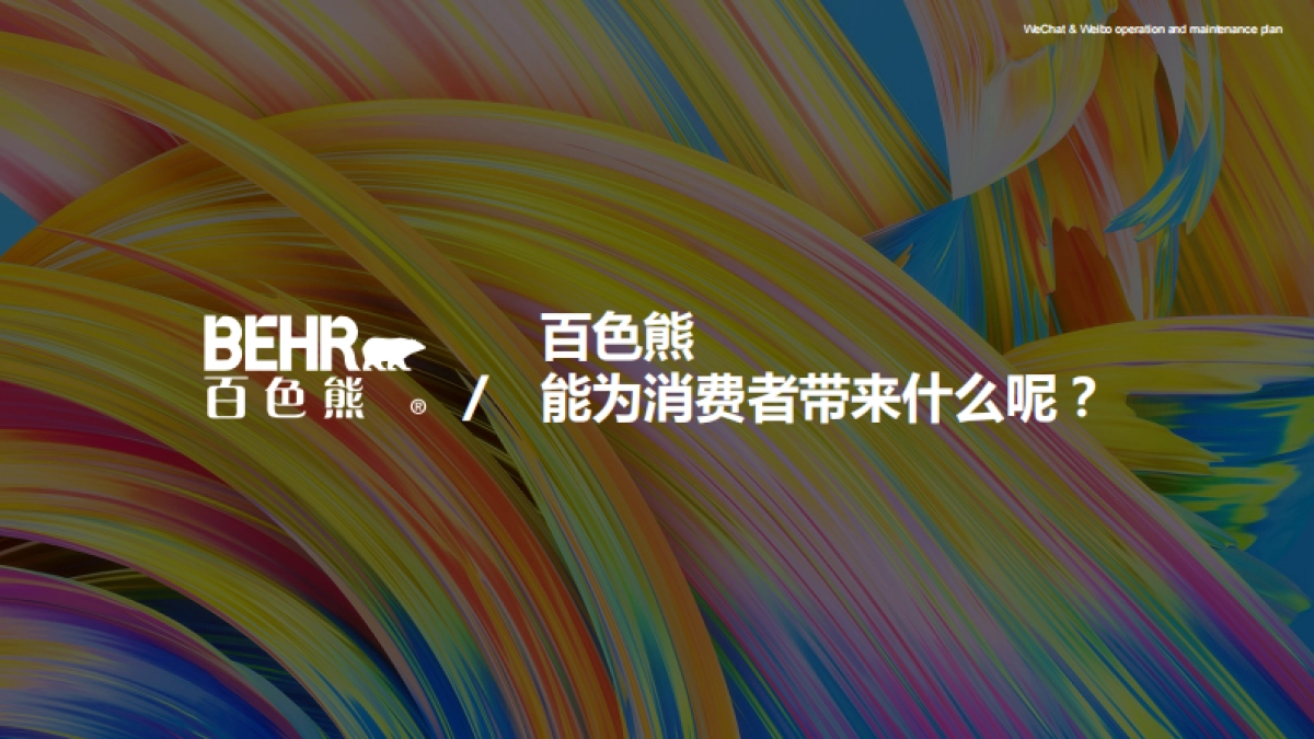 百色熊儿童漆微信微博运营方案_第6页