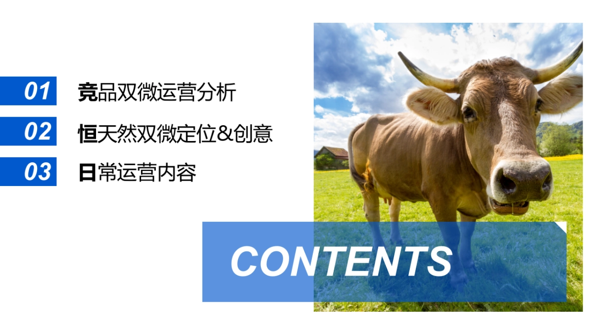 恒天然牛奶双微运营方案_第2页
