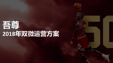 吾尊年双微运营方案