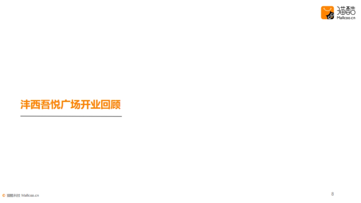 新城吾悦广场会员运营汇报_第8页