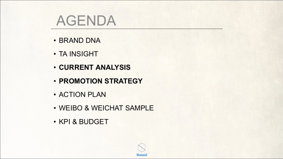 ［ibluesocial］羽西双微运营方案_第2页