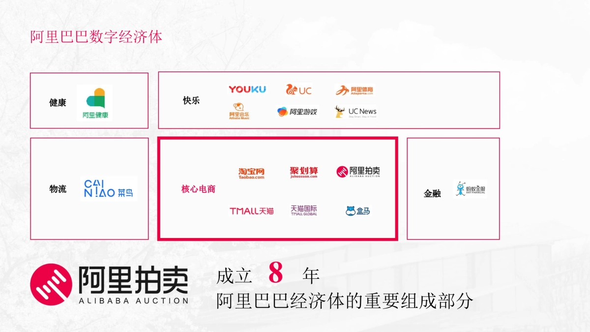 2020大湾区520阿里全球拍卖节招商方案_第2页