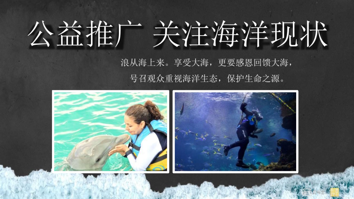 2020年爱奇艺自制综艺《夏日冲浪店》节目招商方案_第9页