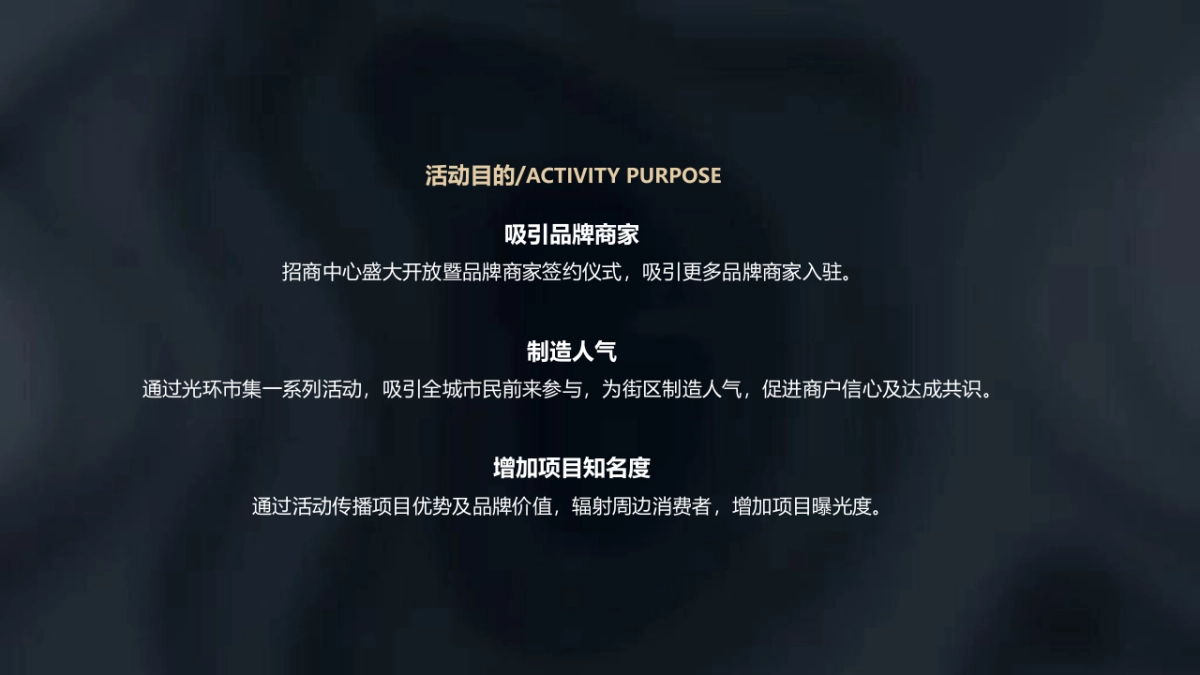 招商发布会暨商家签约仪式_第9页