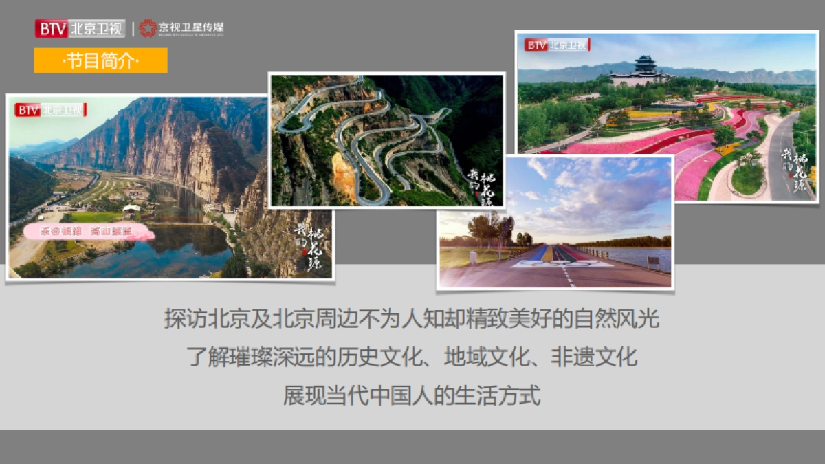 2021年北京卫视《我的桃花源》招商方案_第4页