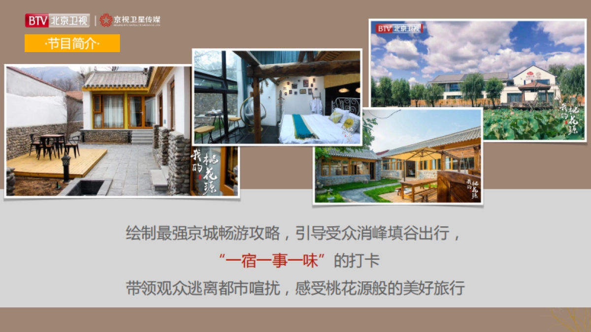 2021年北京卫视《我的桃花源》招商方案_第5页