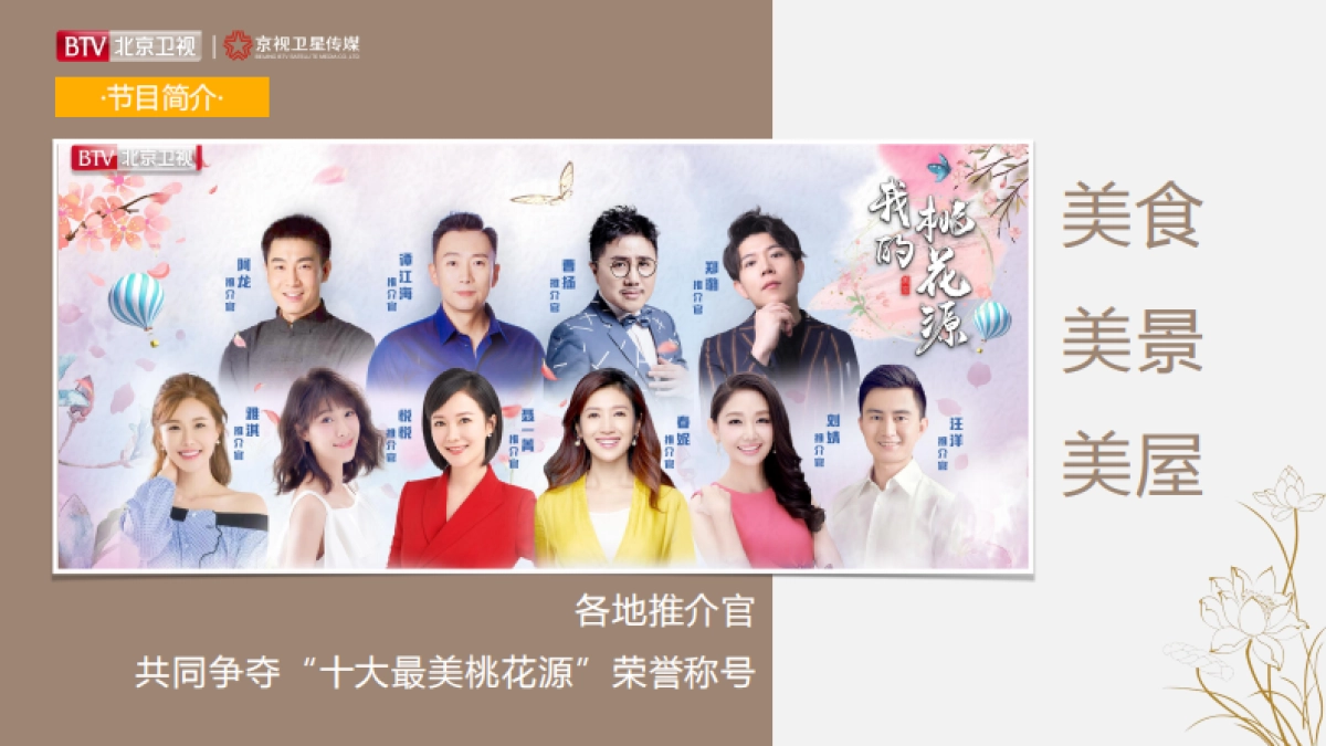 2021年北京卫视《我的桃花源》招商方案_第6页