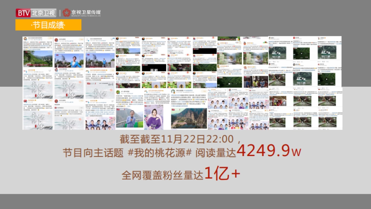 2021年北京卫视《我的桃花源》招商方案_第8页