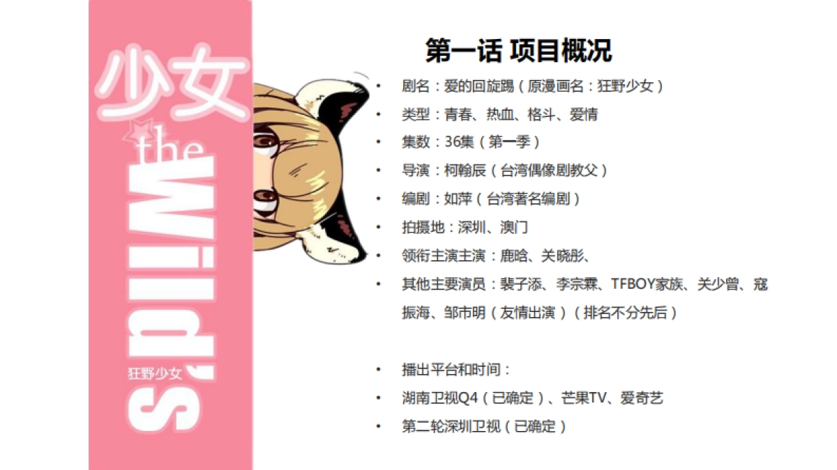 爱的回旋IP招商方案_第5页