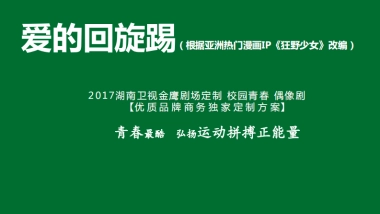 爱的回旋IP招商方案