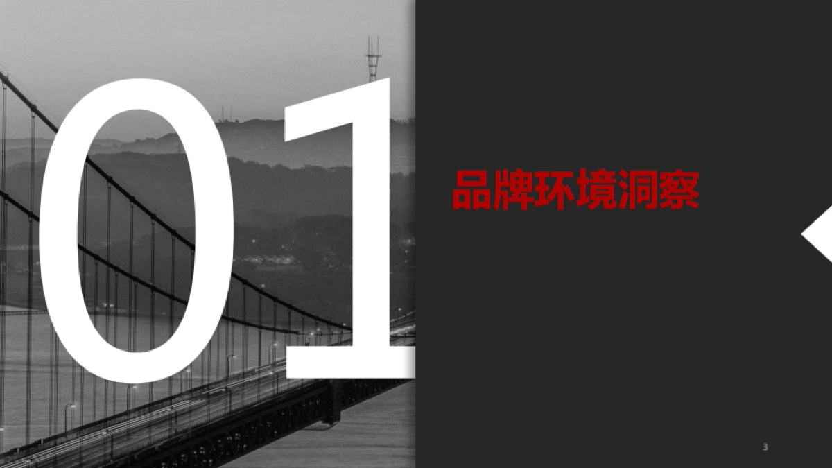 招商银行信用卡2017社会化品牌传播策略_第3页