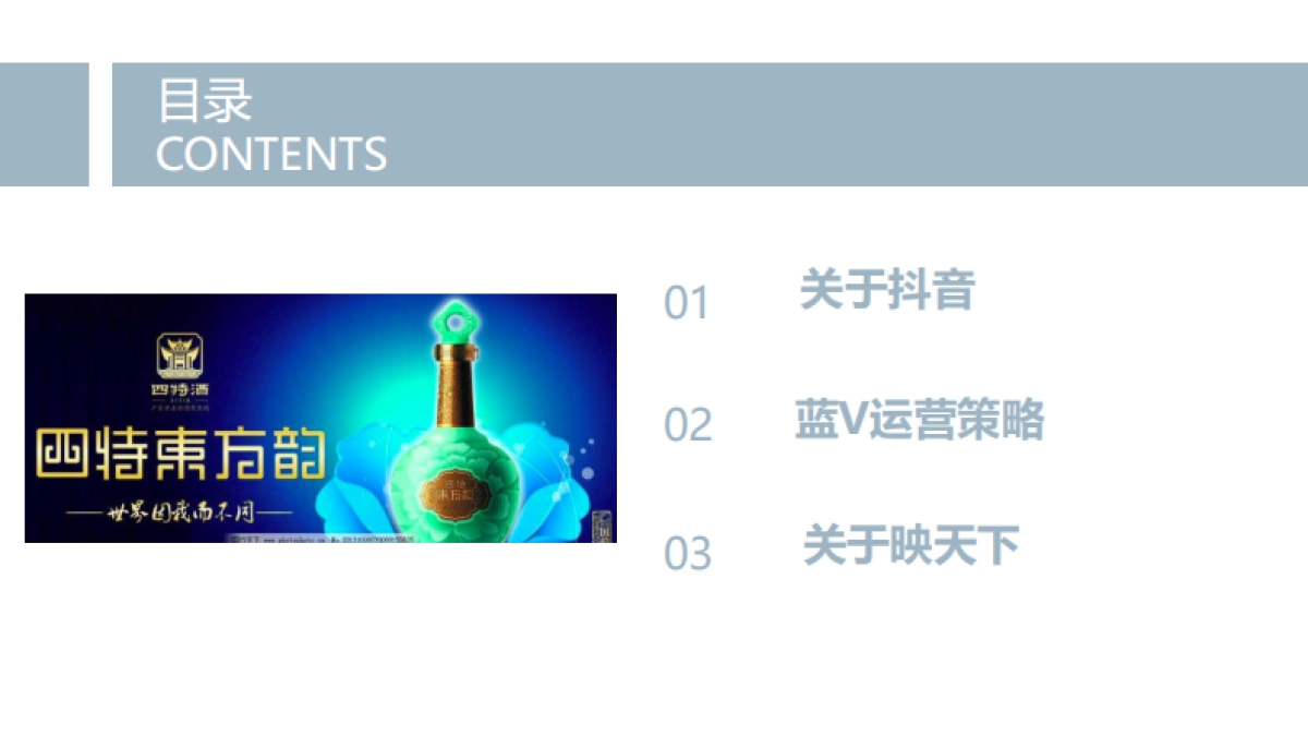 2019四特酒抖音蓝V运营策略方案_第2页