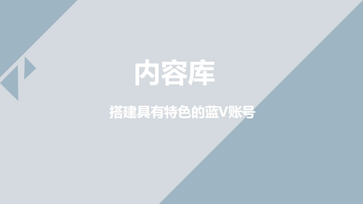 2019四特酒抖音蓝V运营策略方案_第8页