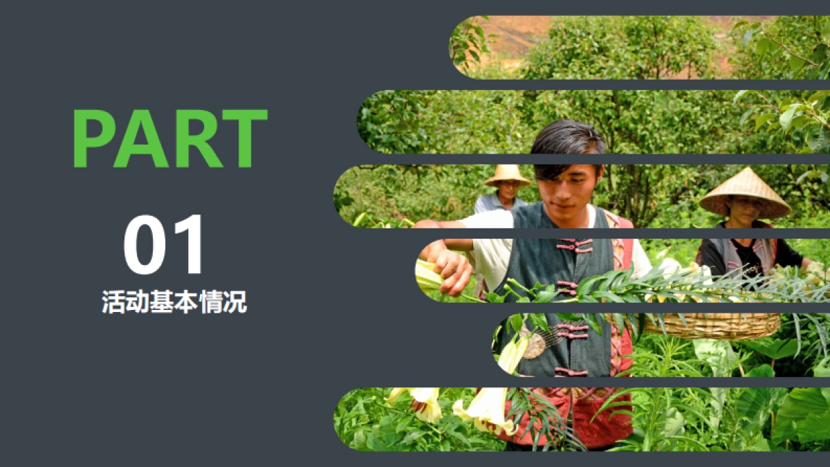 2020韶关区长代言直播活动策划方案_第3页