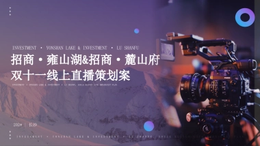 地产项目双十一线上直播活动方案