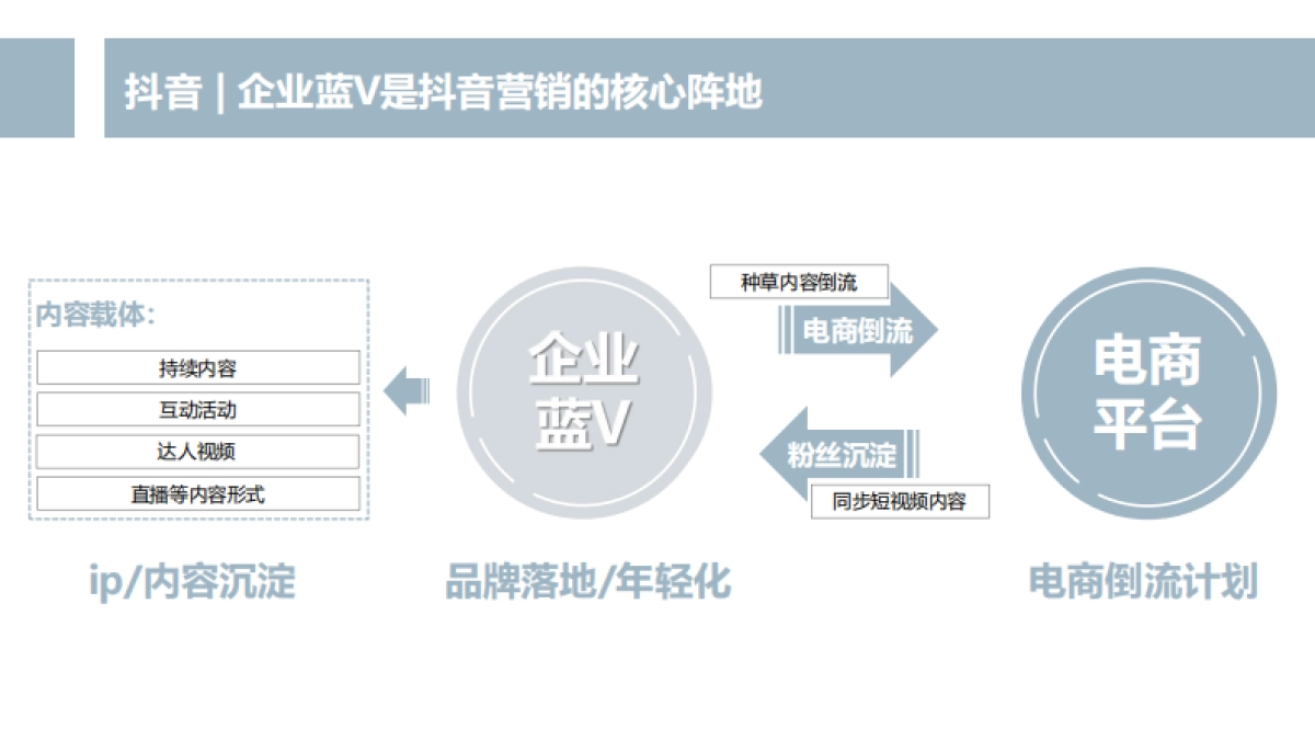 四特酒抖音蓝V运营策略方案_第5页