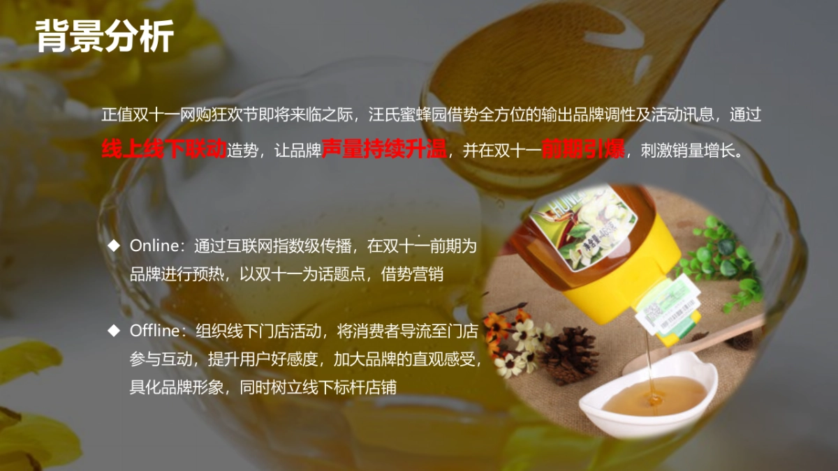 汪氏蜂蜜园直播活动策划_第5页