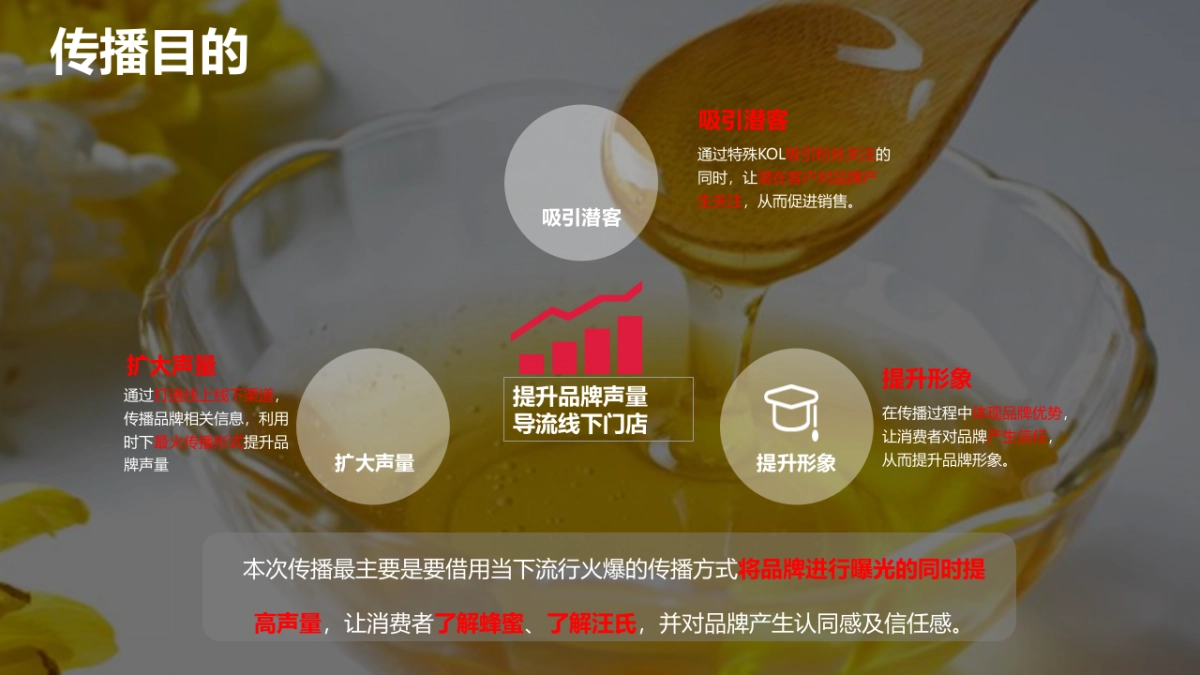 汪氏蜂蜜园直播活动策划_第6页