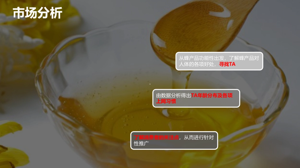 汪氏蜂蜜园直播活动策划_第8页