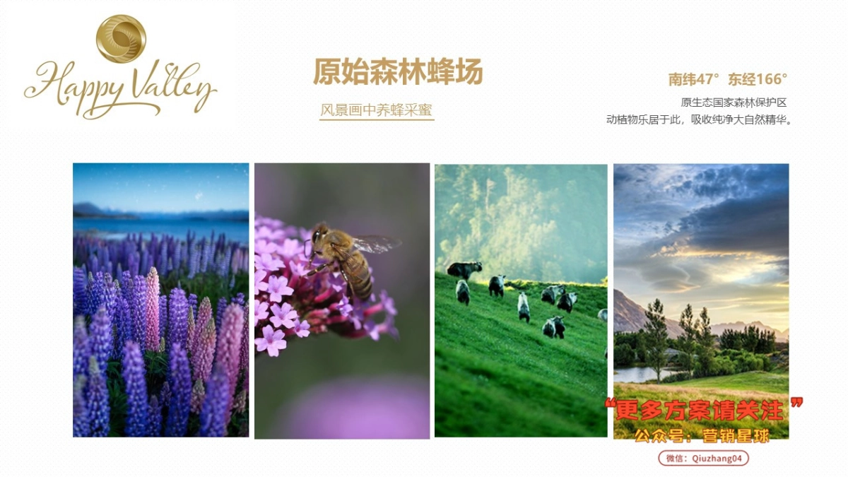 直播方案happyvalley海外旗舰店_第10页