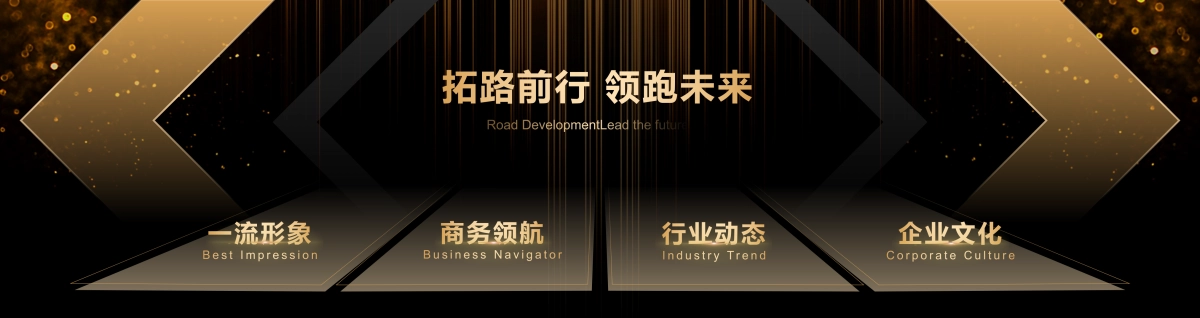 【宽屏设计2】高端黑金发布会模板_第3页