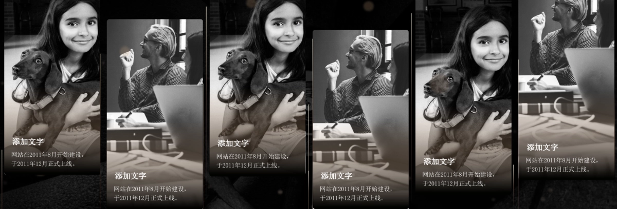 【奢华宽屏】黑金奢华发布会PPT模板_第6页