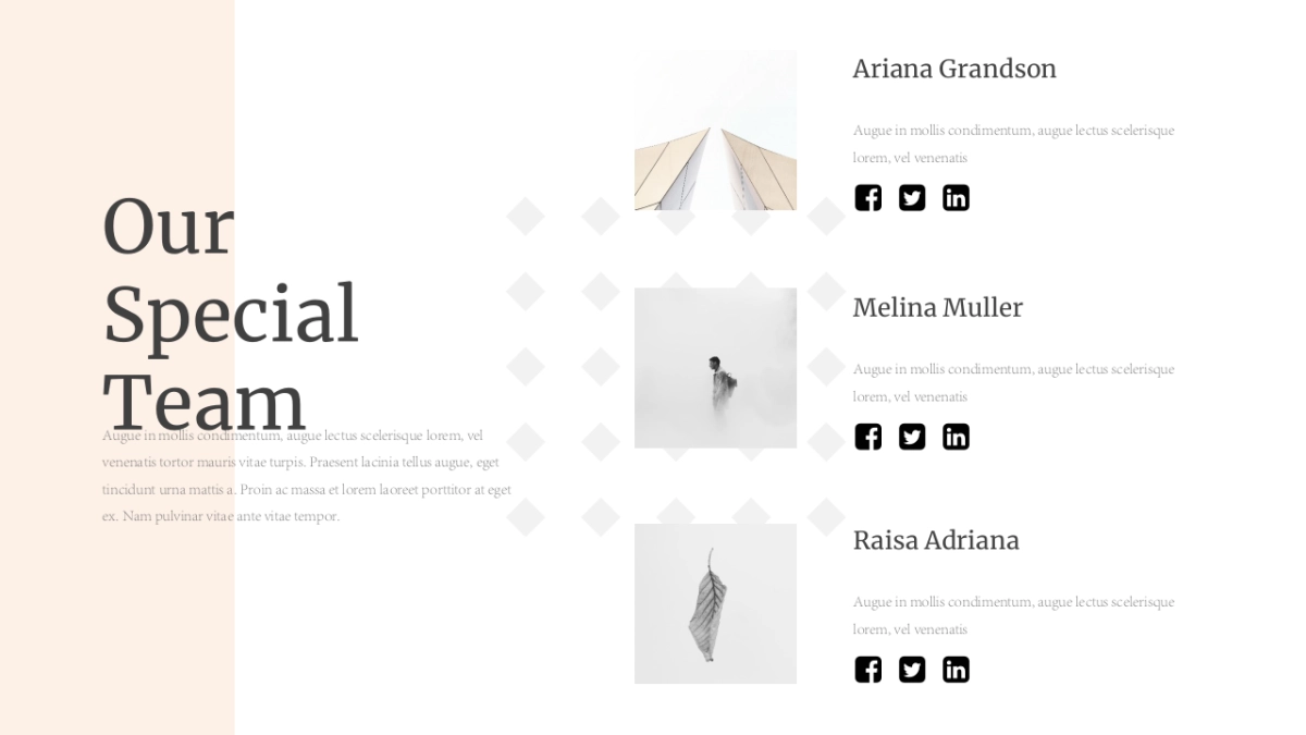 大理石 (39)_第10页