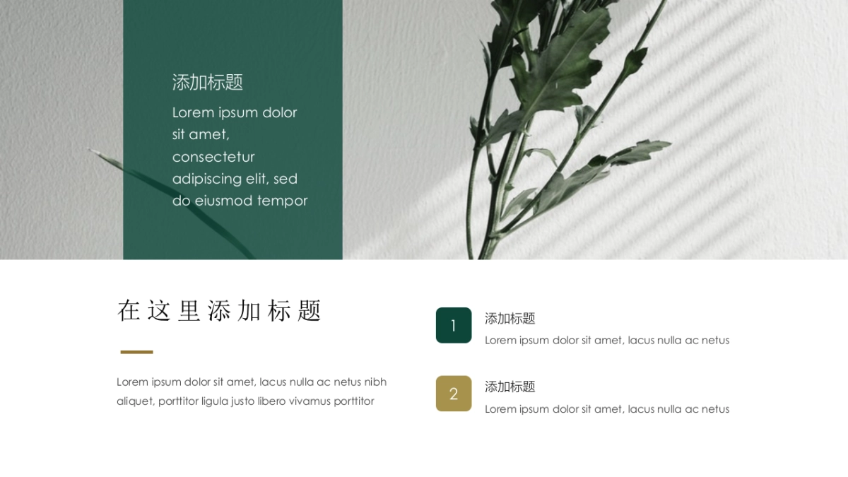 大理石 (53)_第4页