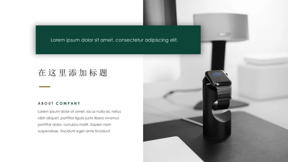 大理石 (53)_第9页