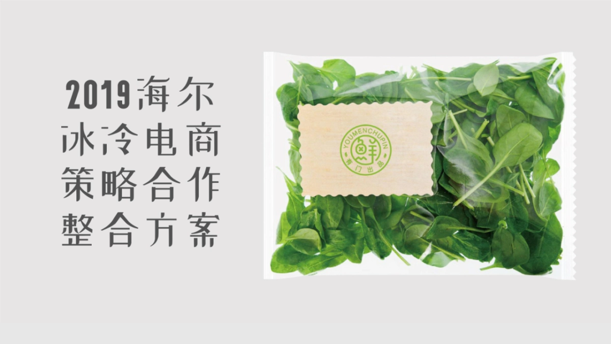 2020（广告）海尔冰冷电商策略合作整合方案广告视觉设计案例_第1页