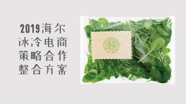 2020（广告）海尔冰冷电商策略合作整合方案广告视觉设计案例