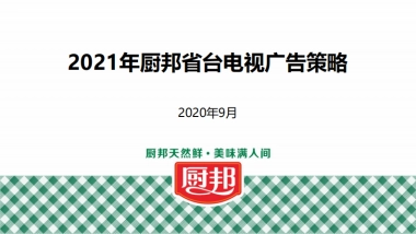 2020年厨邦省台电视广告策略