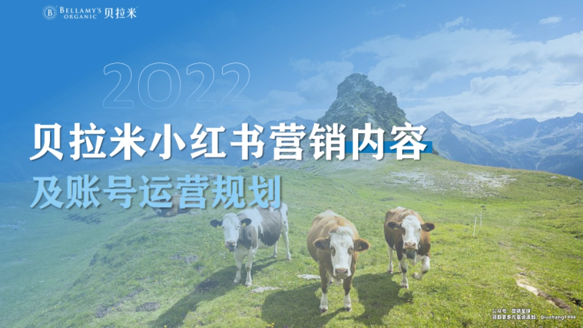 贝拉米跨境奶粉小红书营销内容年度规划方案_第1页