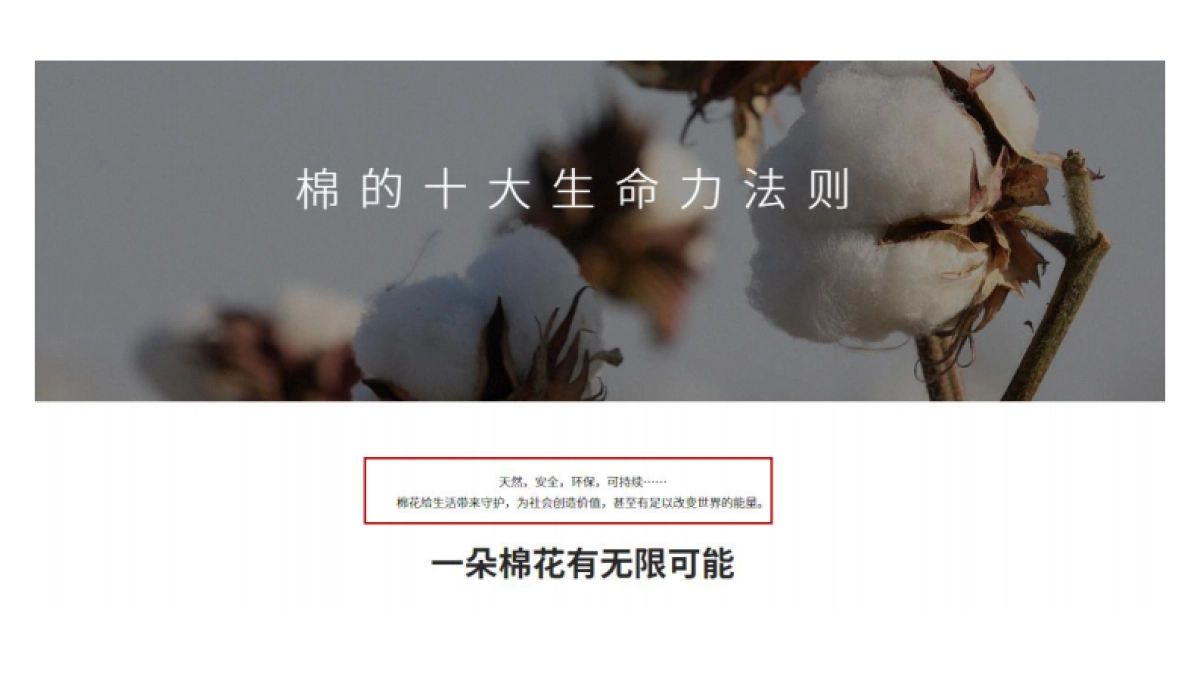 儿童内衣品牌及产品策划方案_第7页