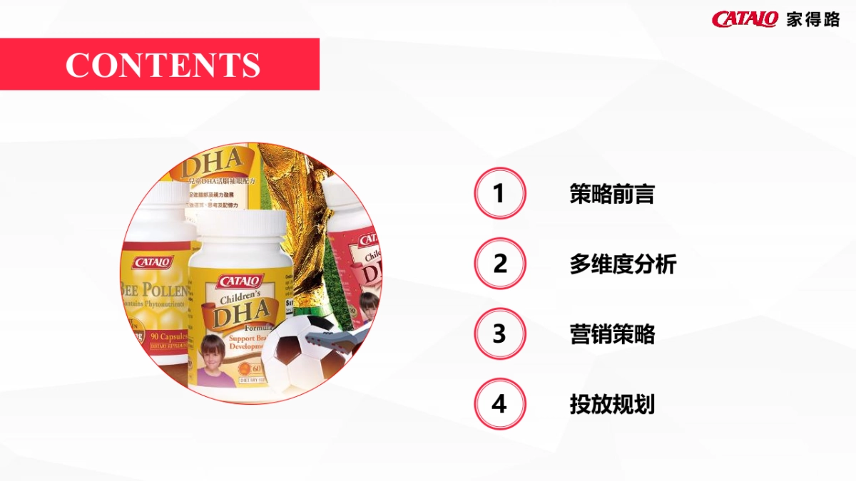 家得路23年多平台营销方案_第2页