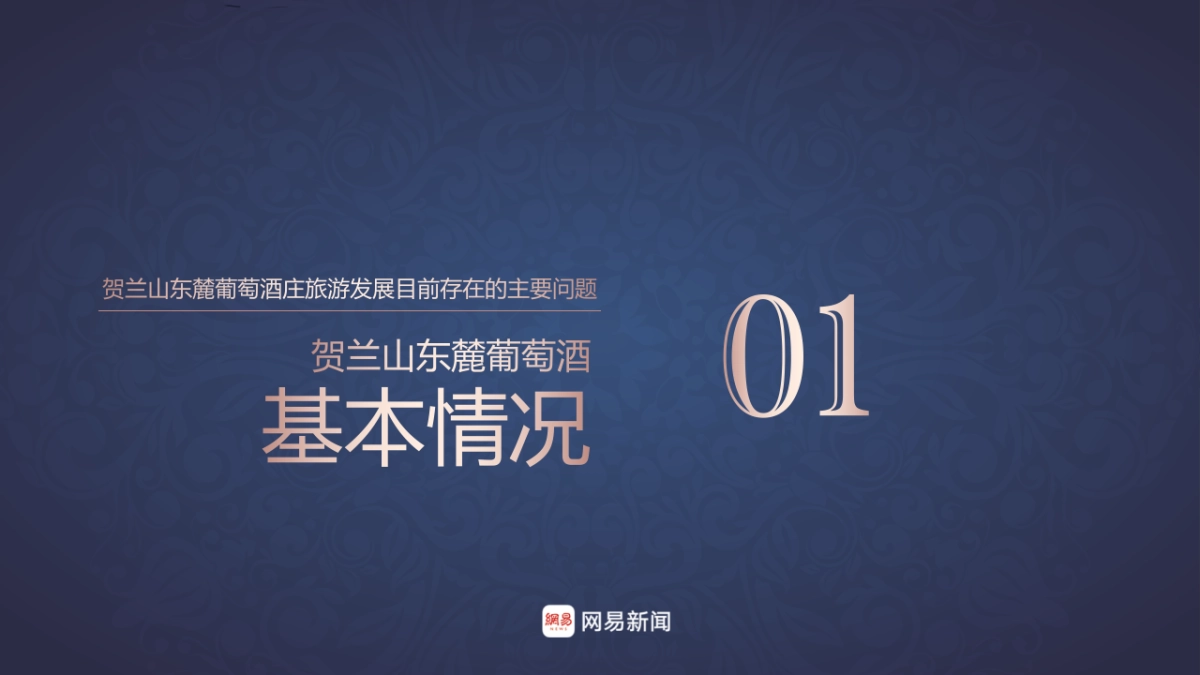 宁夏贺东酒庄VR全景制作、推广方案_第2页