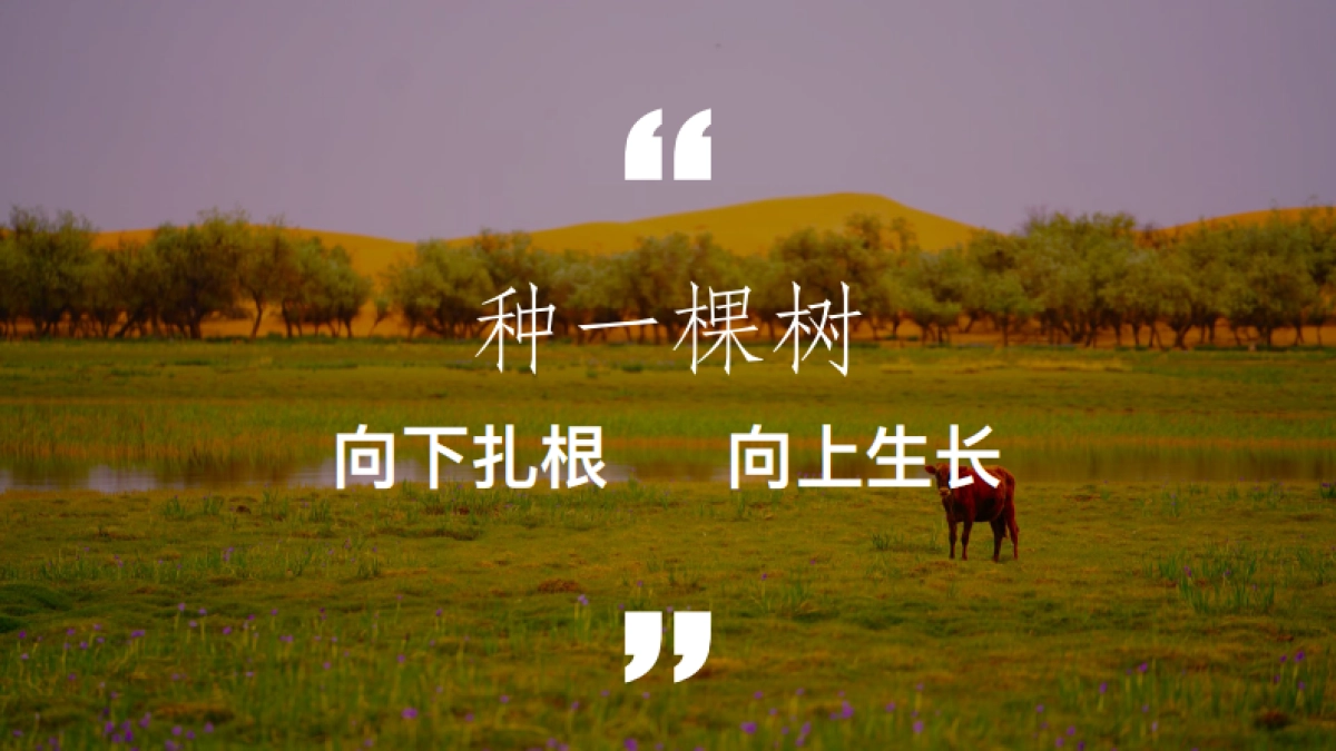 中国邮政沙漠绿洲计划_第2页