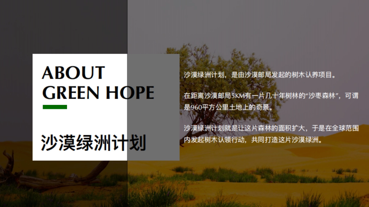 中国邮政沙漠绿洲计划_第3页