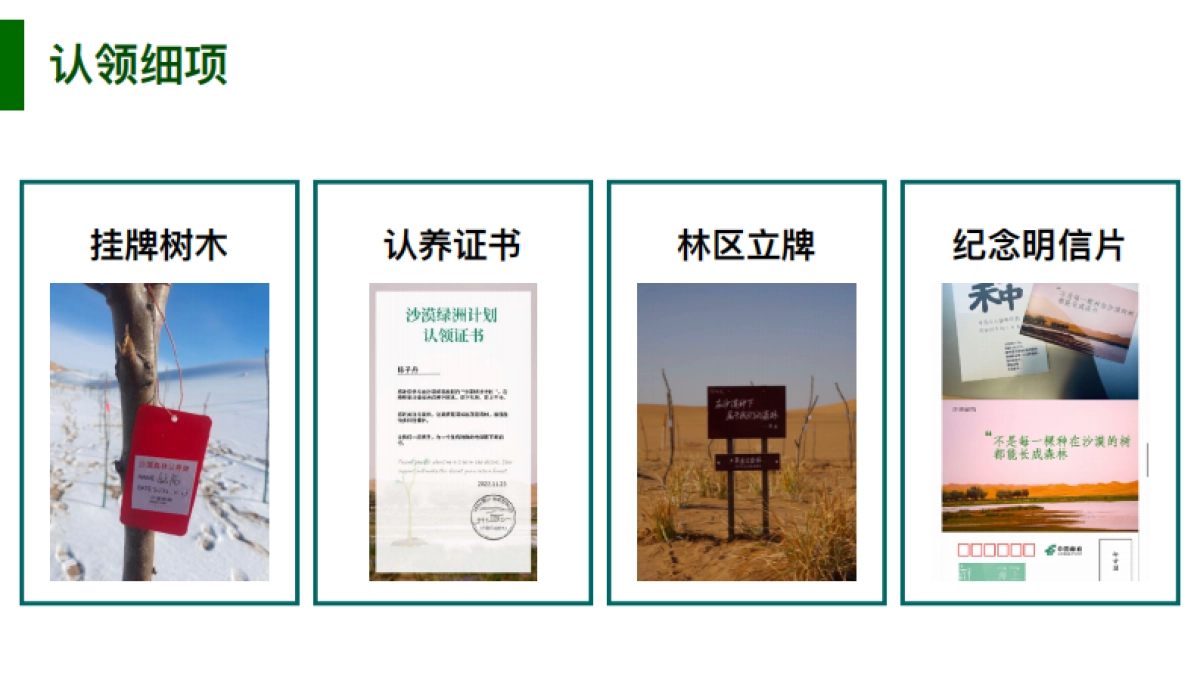 中国邮政沙漠绿洲计划_第9页