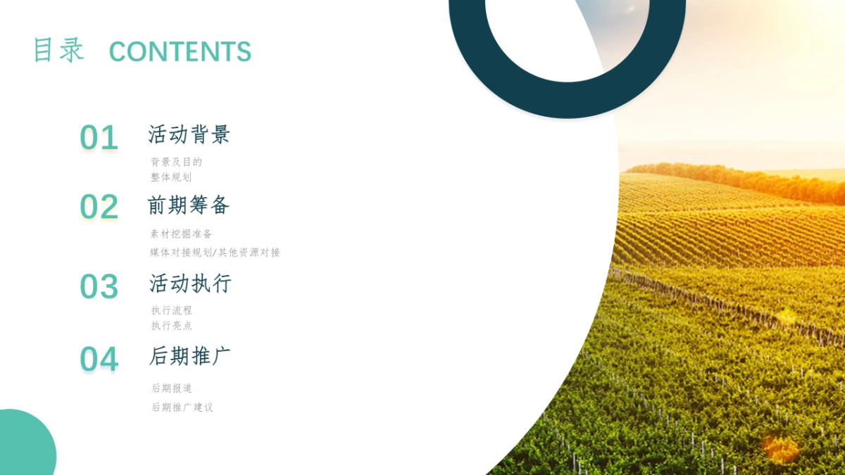 萝卜蔬菜文化节活动方案_第2页