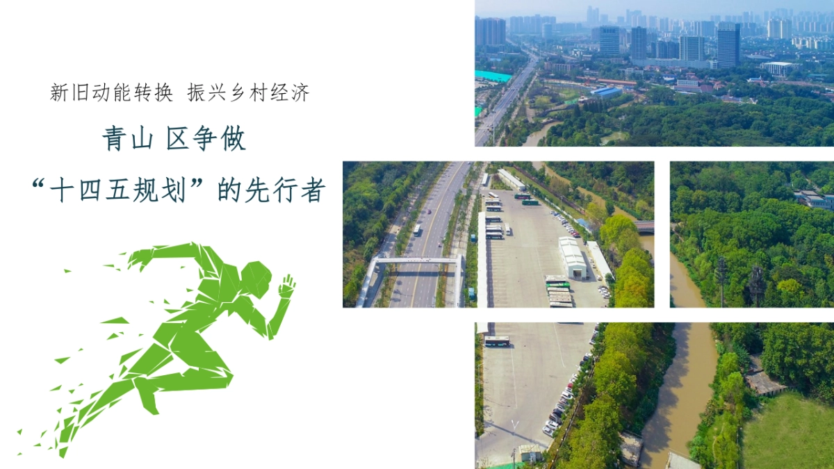 萝卜蔬菜文化节活动方案_第5页