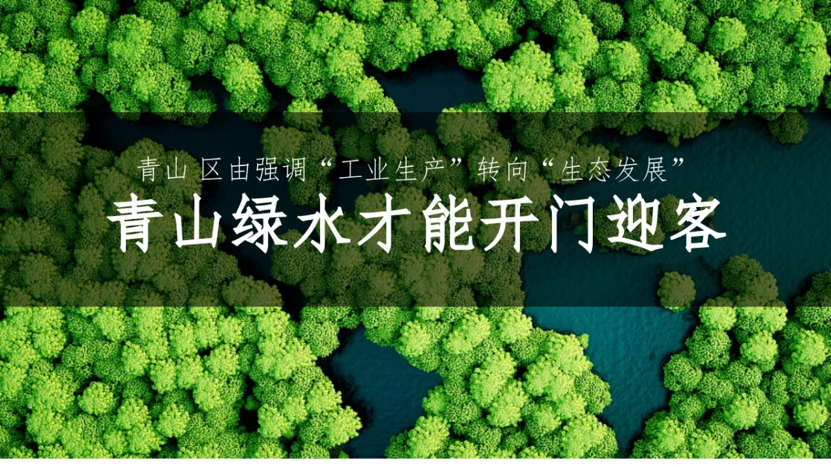 萝卜蔬菜文化节活动方案_第6页