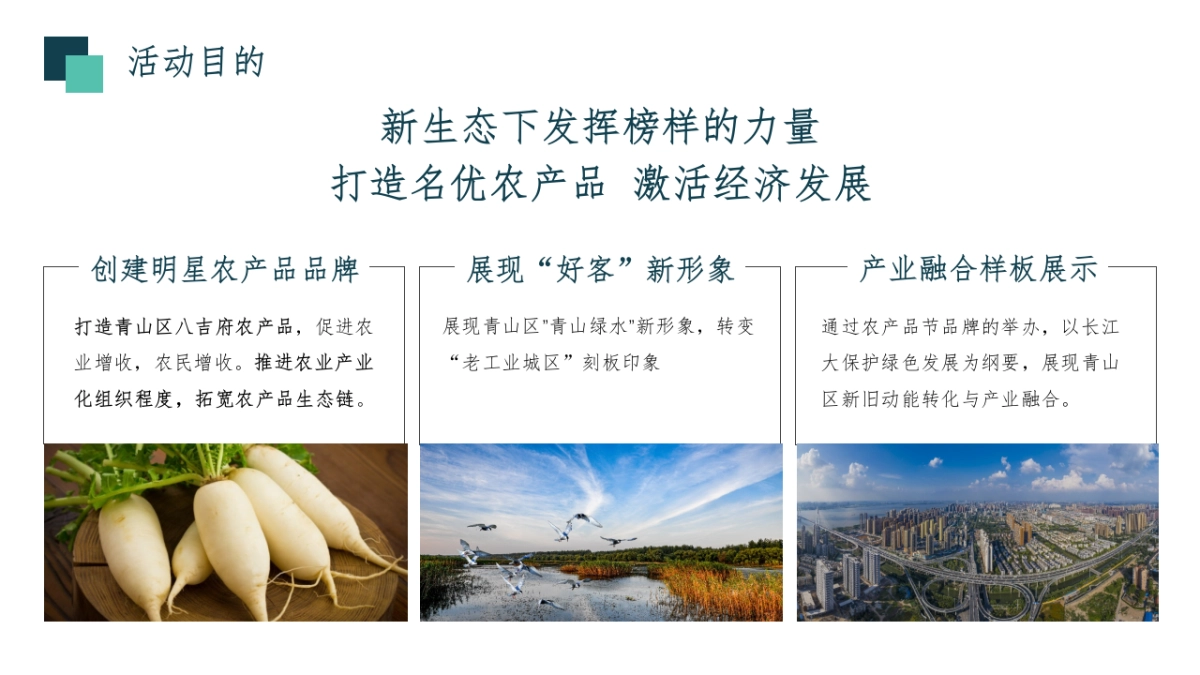 萝卜蔬菜文化节活动方案_第7页