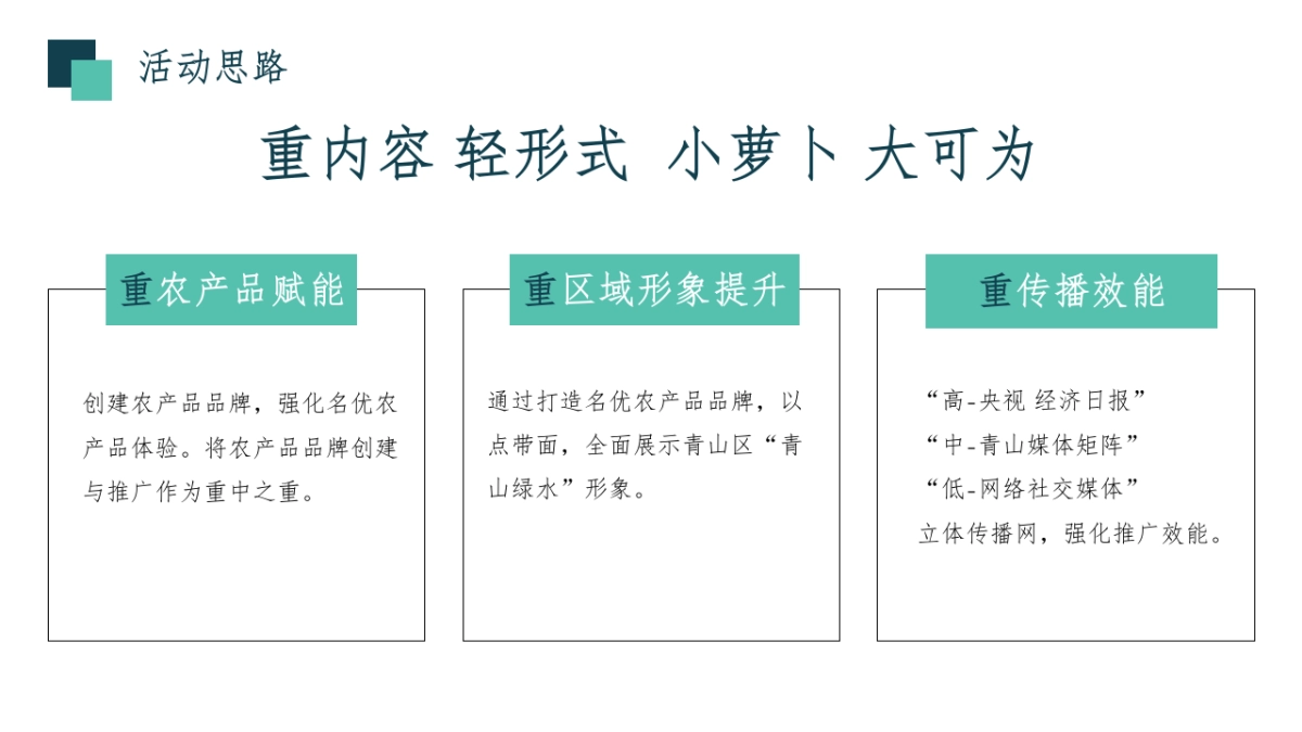 萝卜蔬菜文化节活动方案_第9页