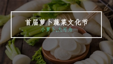 萝卜蔬菜文化节活动方案