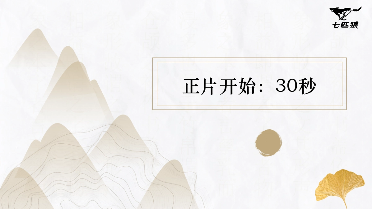 七匹狼香烟金砖御魁TVC视频脚本规划_第6页