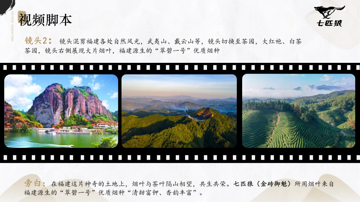 七匹狼香烟金砖御魁TVC视频脚本规划_第8页